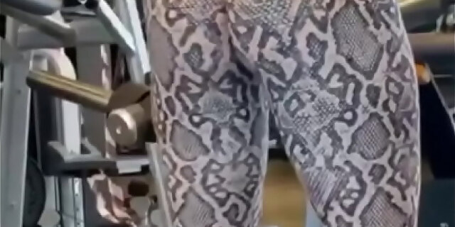 spandex