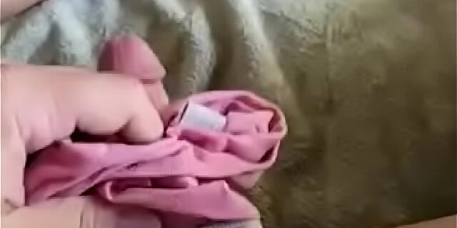 panties,wife